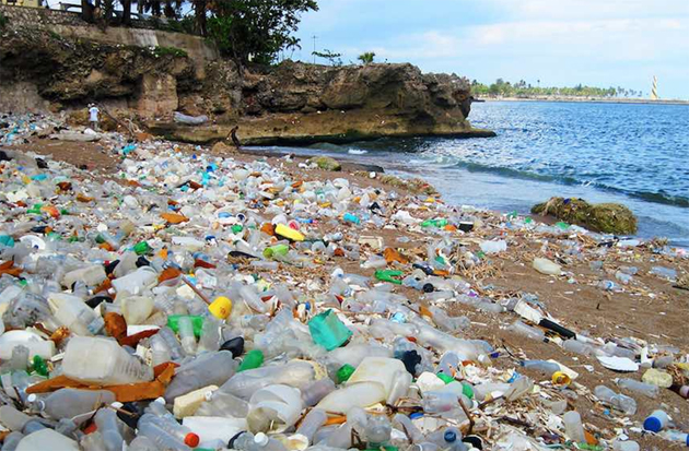 campaña sin plasticos 2