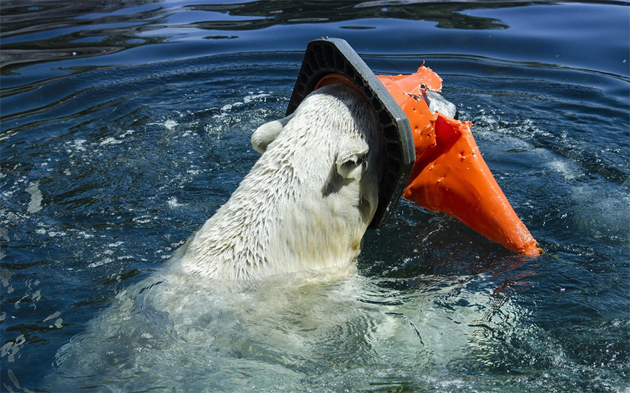 campaña sin plasticos 11