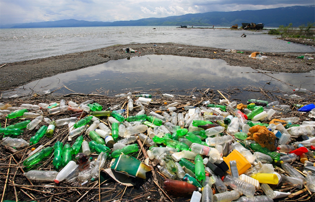 campaña sin plasticos 16