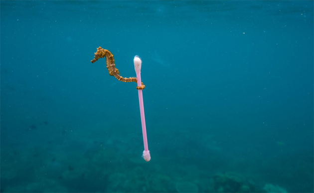 campaña sin plasticos 17