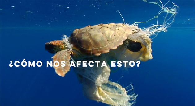 campaña sin plasticos 18