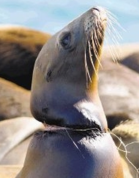 campaña sin plasticos 20