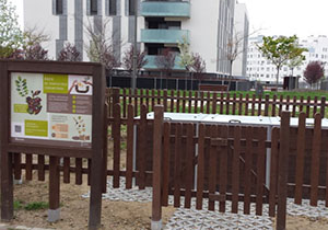 Area de compostaje comunitario - PAU4 - Perseo con Rigel peq