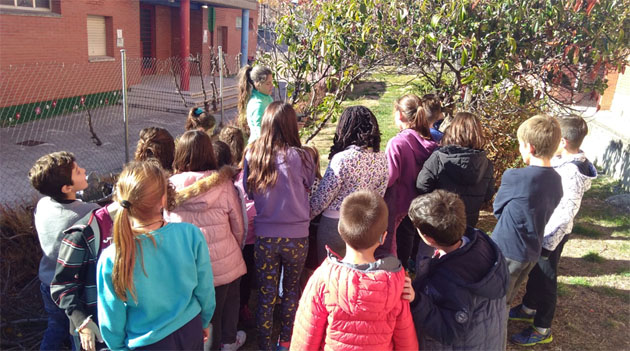 MÓSTOLES COMPOSTA 6