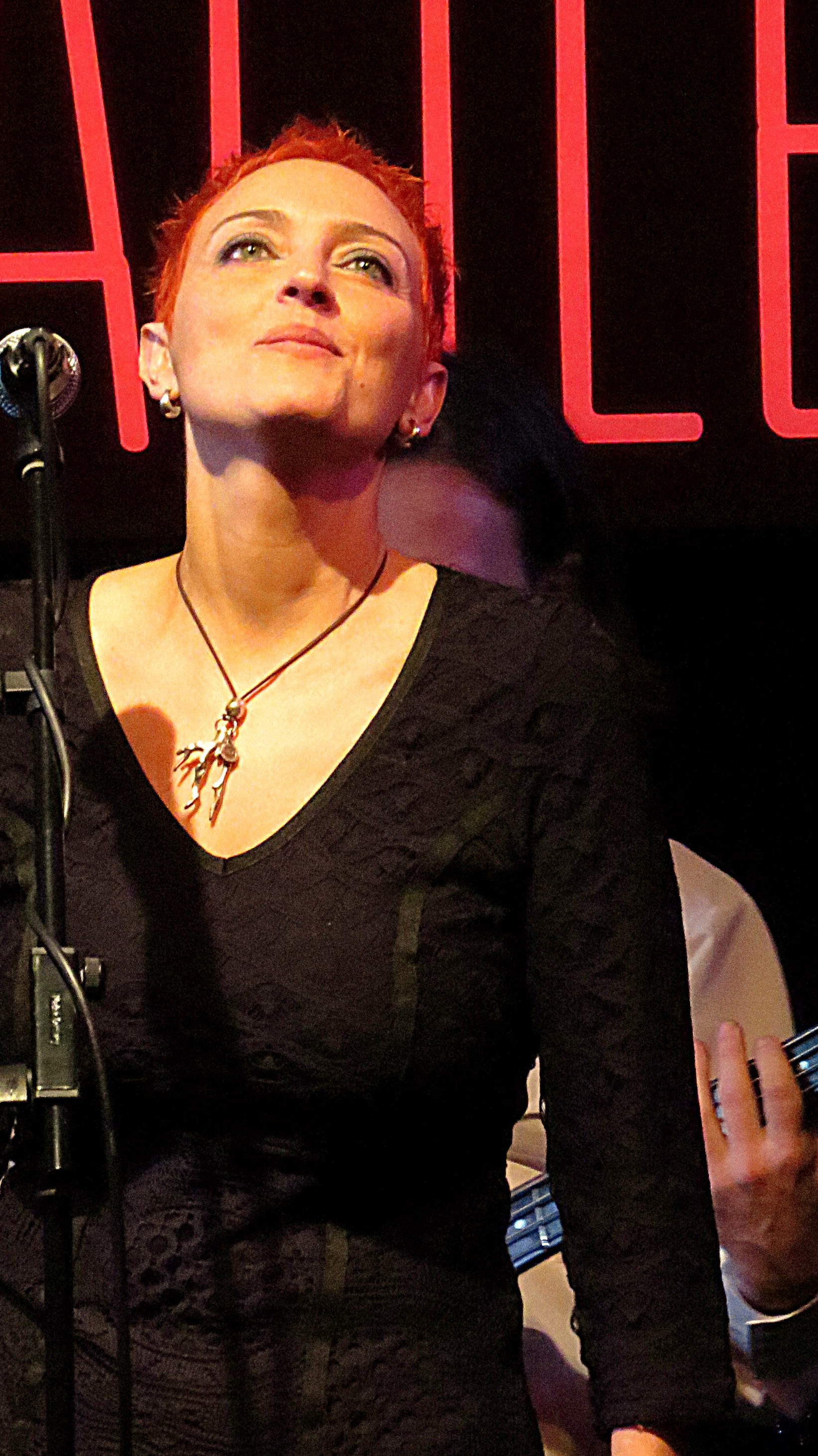 FOTO CONCIERTO BEGO_15 JUNIO_C.S.C. EL SOTO