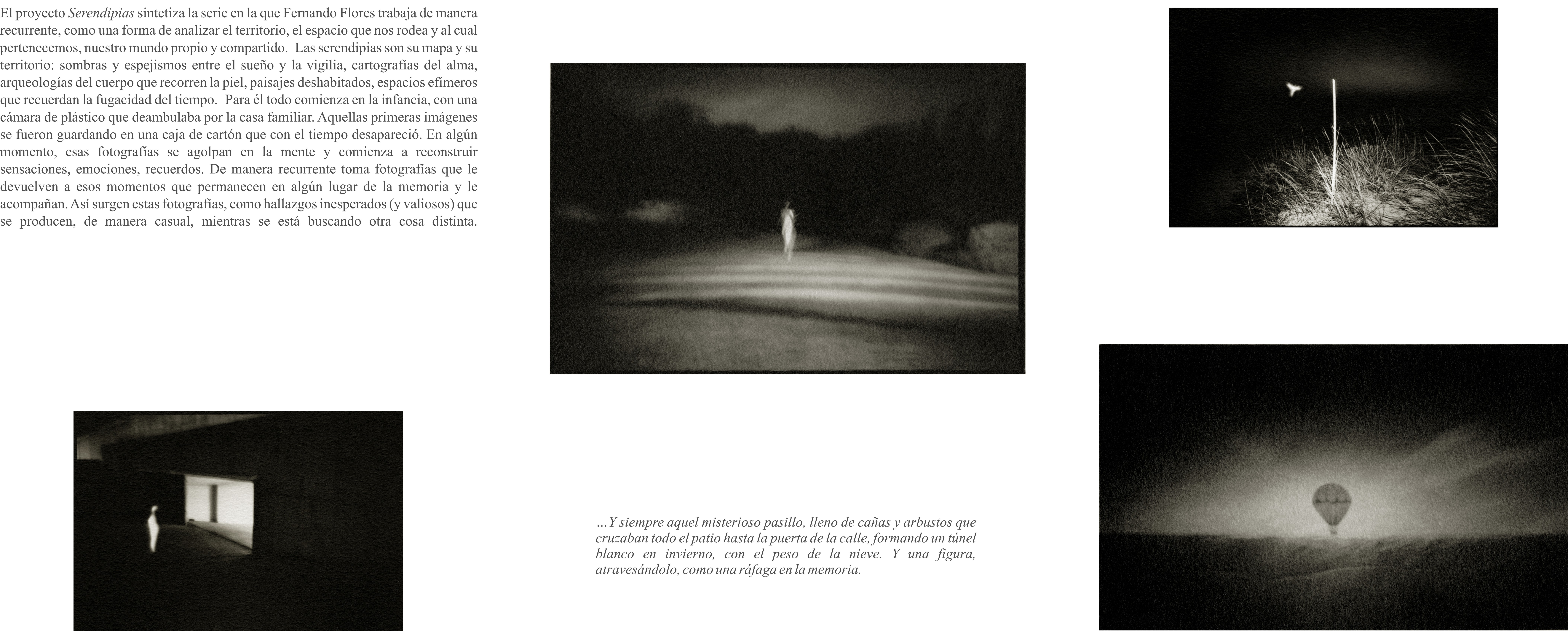 Tríptico Fernando Flores_Serendipia 2