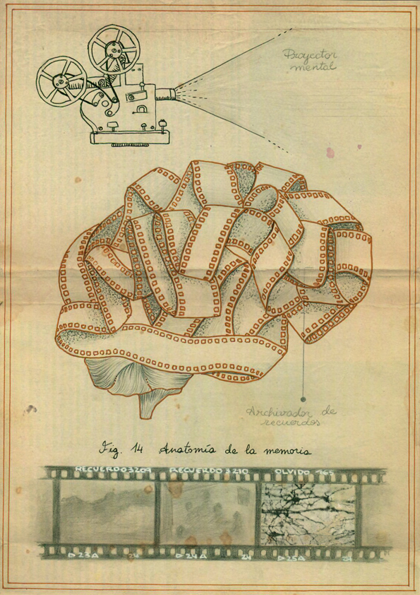 Anatomía de la memoria