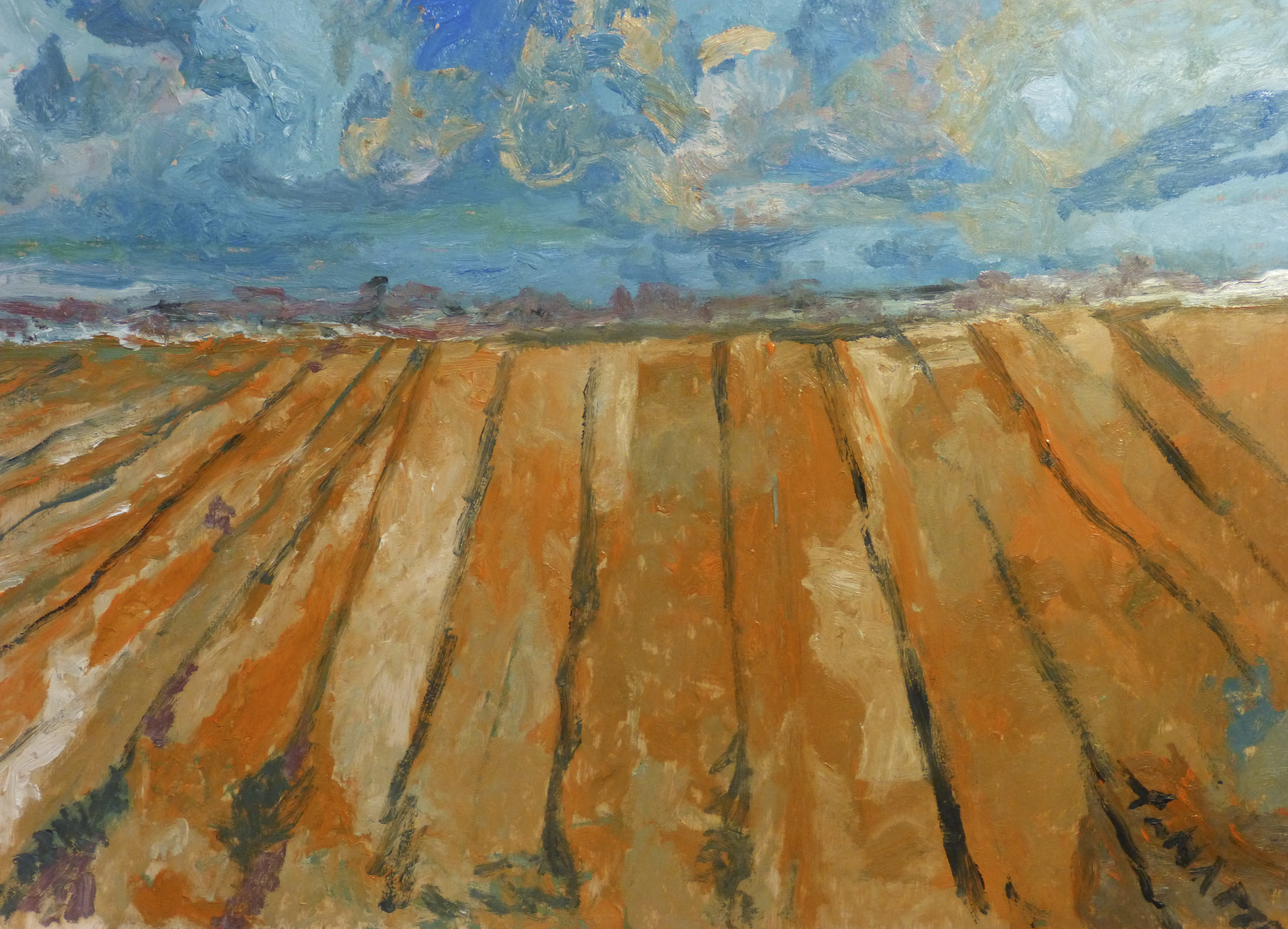 Tierra de labranza. Exposicion Juan Tanarro. Centro Norte copia