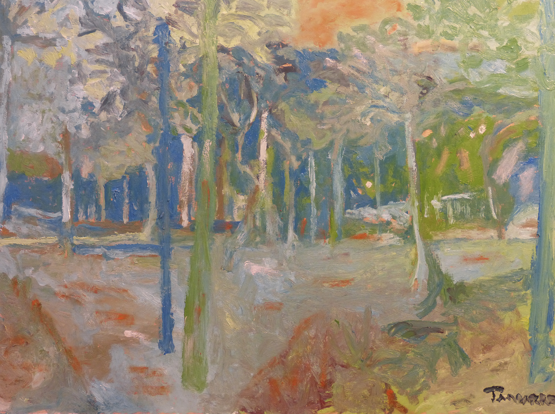 Parque Liana 1. Exposición Juan Tanarro.Centro Norte