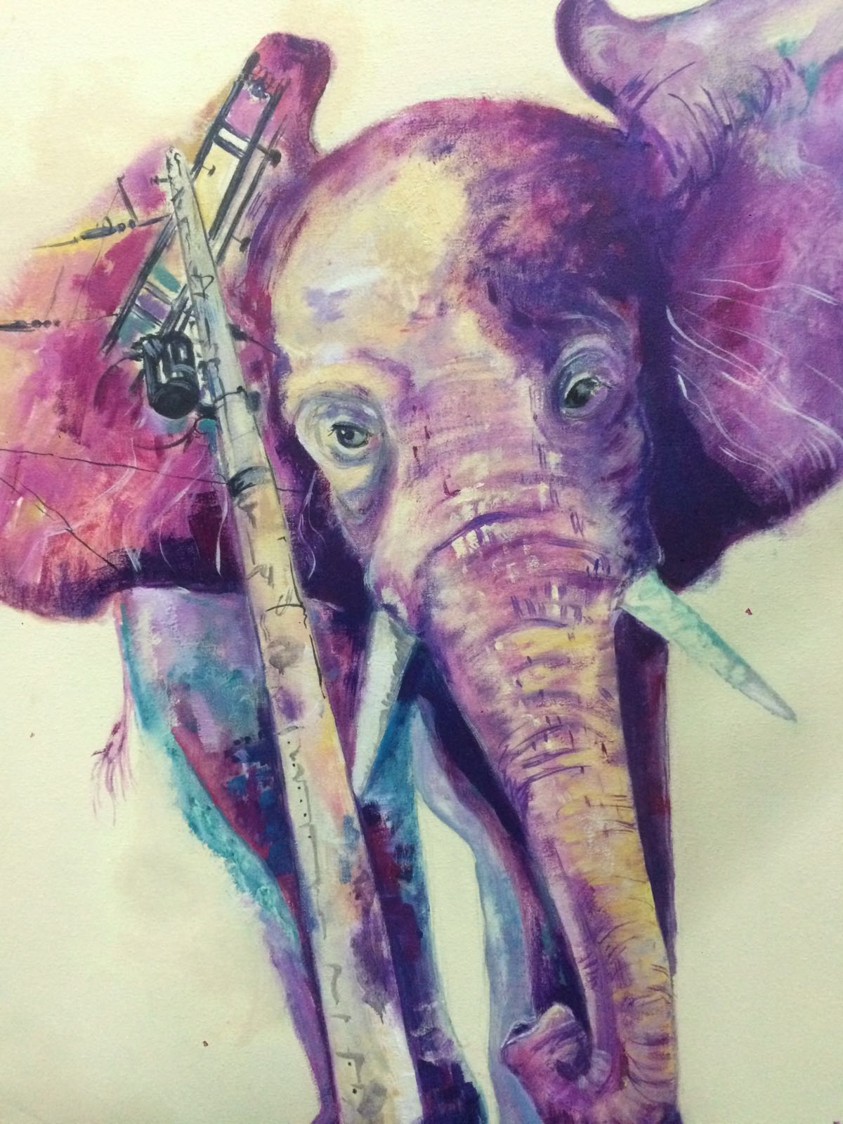 FOTO ELEFANTE EXPO. ANA AGUDO