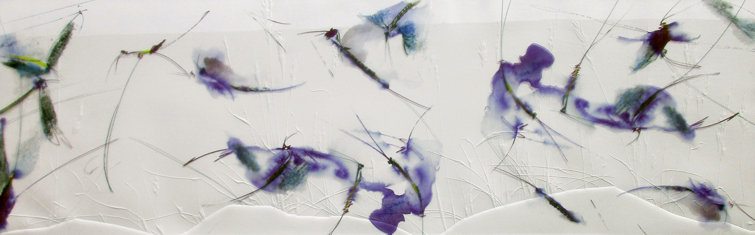 FOTO_ Efímeras_ EXPO JULIA GALLEGO