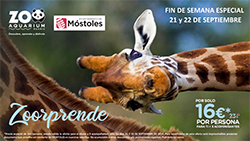 5 Cupón OD ZOO - 21 y 22 de septiembre