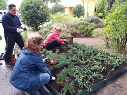 ayudas medioambientales 1