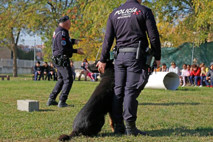 perros policia colegio 3