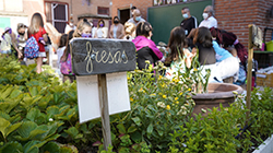 Visita a un taller de plantación de setas