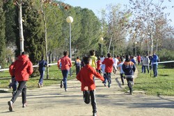 CROSS COLEGIOS 6