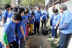 Día Árbol CEIP Villamil 12