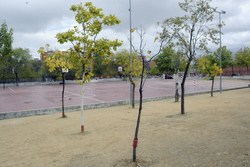 MEJORAS EN COLEGIO Las Cumbres