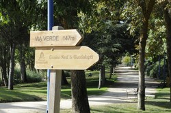 CAMINO REAL GÜADALUPE