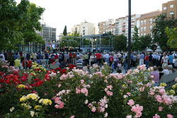 Clausura Día Regiones_15 175 Webp