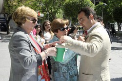 Cuestación contra cancer 2