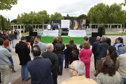 Feria Empanadilla Móstoles 6