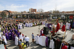 Domingo de Ramos 19