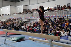 Centro Deportivo Rafa Martínez 15