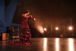 Final Premios Distrito Joven 14