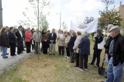 Un arbol por el Parkinson 8