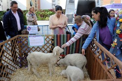 Granja animales Pza. España 9