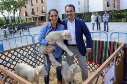 Granja animales Pza. España 13