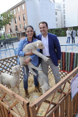 Granja animales Pza. España 14