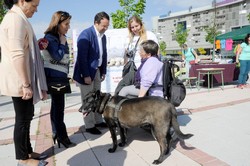 Día del Niño Pza. del Sol 5