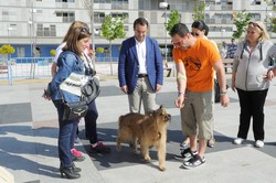 Día del Niño Pza. del Sol 11