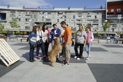 Día del Niño Pza. del Sol 12