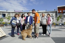 Día del Niño Pza. del Sol 13