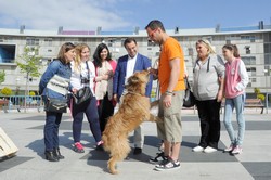 Día del Niño Pza. del Sol 14