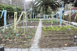 Huerto escolar del colegio Antonio Hernández