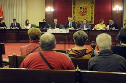 Pleno Extraordinario