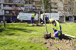 parque Salvador Allende (4)P