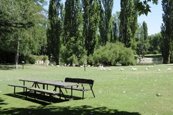 Estaciones de Workout