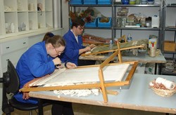 Centros Especiales de empleo