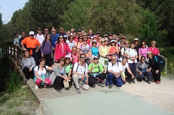 Gana Salud Caminando (1)