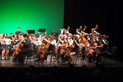 Concierto Primavera (7)