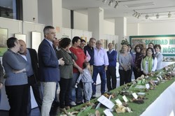 Expo Micologica 2
