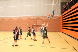 Fotos Baloncesto 2