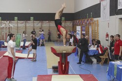 GIMNASIA DEPORTIVA 52