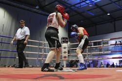 BOXEO 2