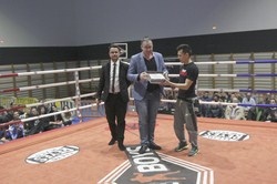 BOXEO 6